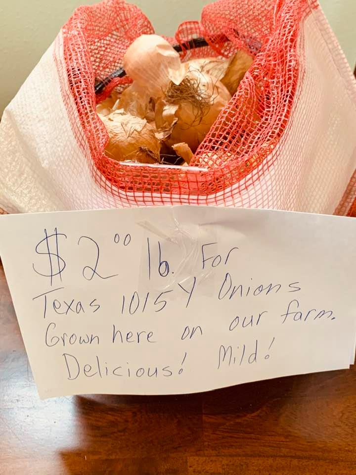 Here are some of our Texas 1015Y onions on sale for $2 a pound. Pick your own and we will weigh them for you. They have a mild flavor--so tasty! We also sell the seeds so you can grow your own. Here are some of our Texas 1015Y onions on sale for $2 a pound. Pick your own and we will weigh them for you. They have a mild flavor--so tasty! We also sell the seeds so you can grow your own.