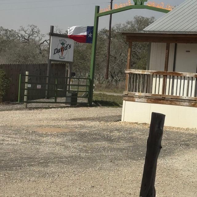Our new Texas flag blowing in the high winds.