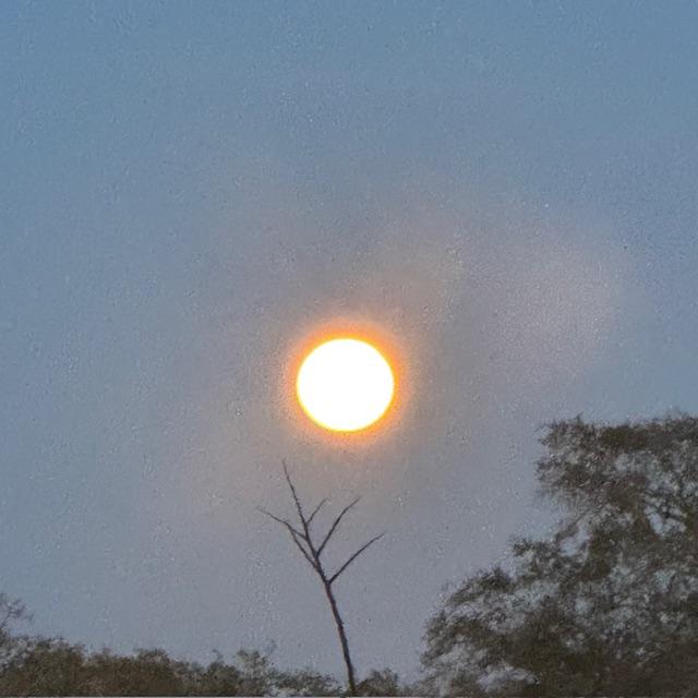 I had to step out on my side porch to get this shot. The Full Snow Moon was worth it!