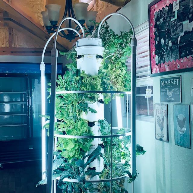 If you plant in a grow tower, you can get a lot of food to eat.