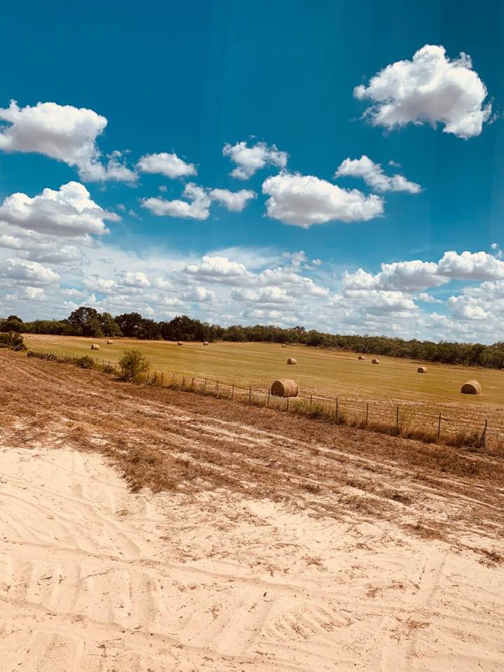 We have some gorgeous views out here on the family farm home.