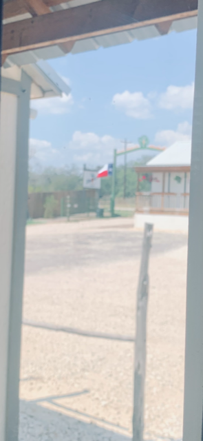 This is what I see while I am mailing out orders from my desk. I have view of the front gate so I can see customers coming in.