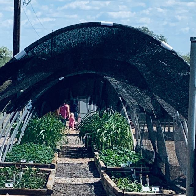 The end of the visitor line going through our raised bed hoop houses.