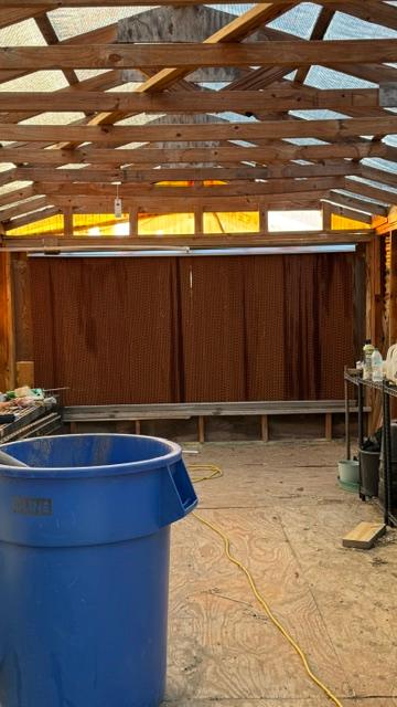 The back wall of my greenhouse is now a big swamp cooler.