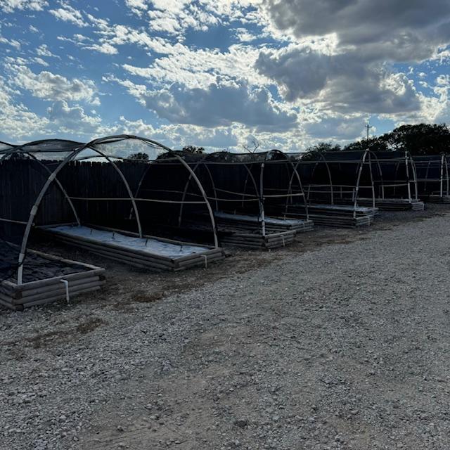 These are some of the beds that got weeded today. Then weed barrier was put down.