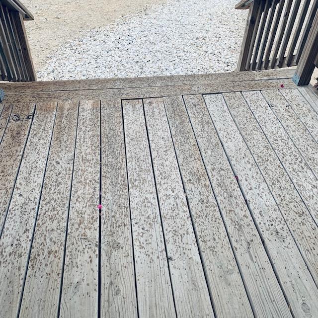 Raindrops are hitting the store porch! Yay. It did not last long and is the only shower we got the entire week.