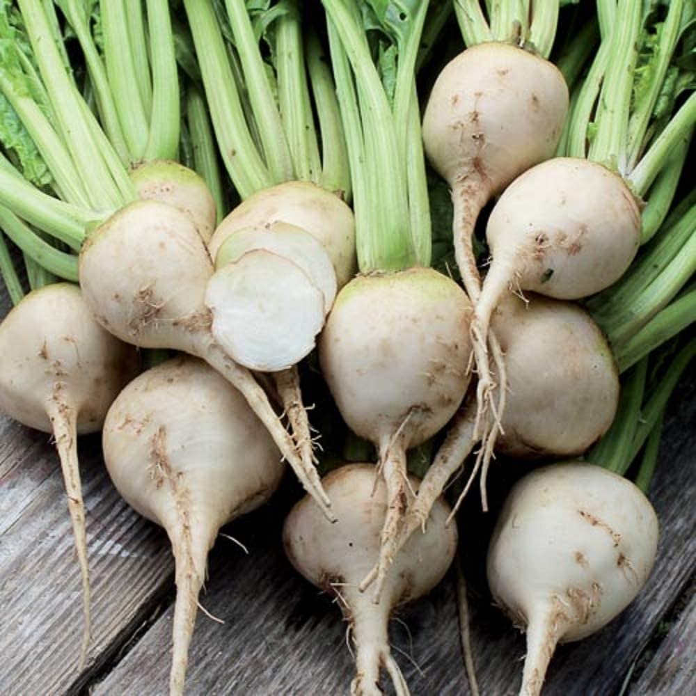 Grow beets that are different like these White Albinos.