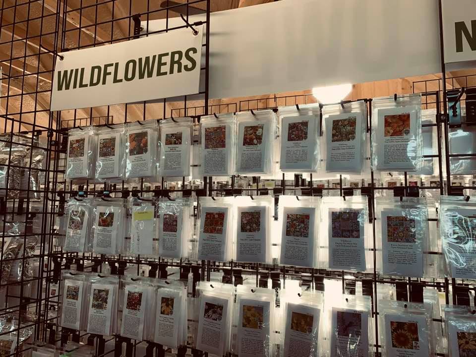 We have a lot of wildflower seed packets that will fill your yard with gorgeous color next spring if you plant the wildflower seeds now!