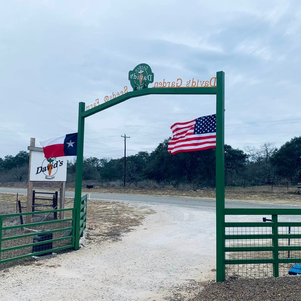 A windy day is not a good day to harden off young plants.