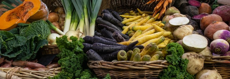 Some of the vegetables that could be in your winter garden are pictured here. Aren't they beautiful?