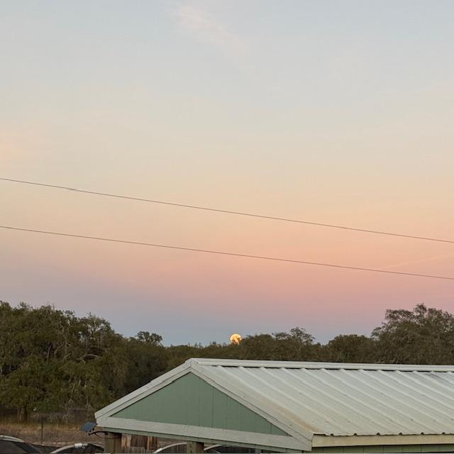 Right at 6pm, the full moon began to rise above the trees just north of our home.