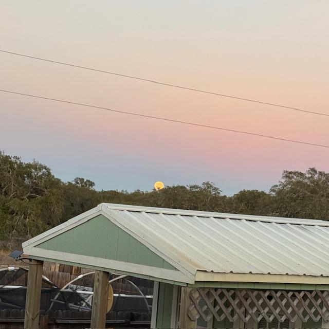 In the cold, it felt like it was taking forever for the Wolf Moon to rise tonight.