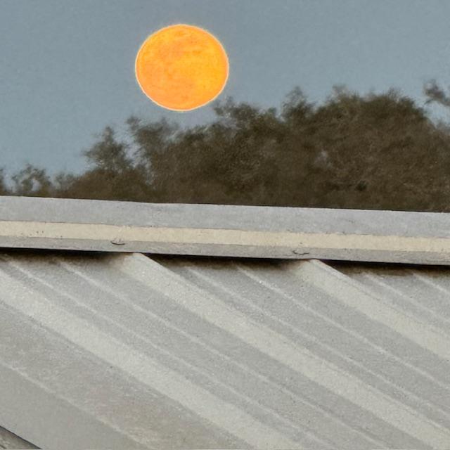 Here it is above the green shed where we lived for over a month in the summer heat. I have the lens magnified about 20x.
