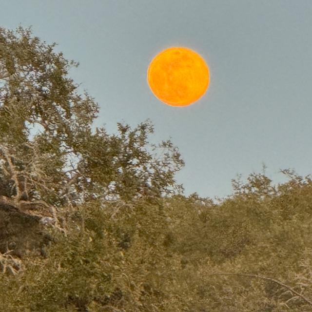 It is called the Wolf Moon because wolves howl around this time of year. Howling would warn other wolf packs to stay away. Sounds a bit scary...