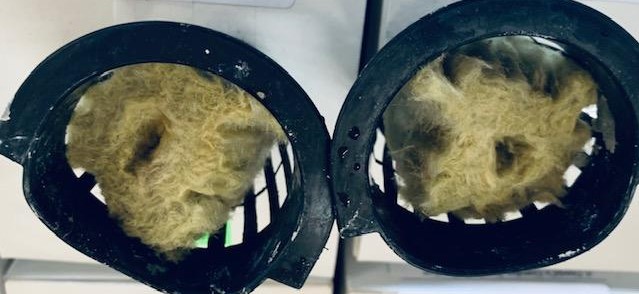 This is rock wool placed in black plastic baskets. The seeds go into the small hole in the rock wool. Water hits the wool,  soaks it so the seed germinates, then the plant grows to full size. This is rock wool placed in black plastic baskets. The seeds go into the small hole in the rock wool. The water hits the rock wool and soaks it so the seed germinates and then the plant grows to full size.