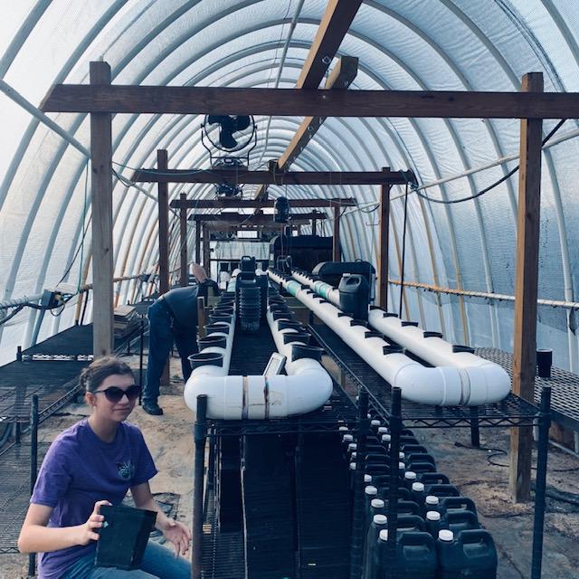 Here is a photo of the homemade hydroponics unit in the high tunnel. David made this and uses it every year. Here is a photo of the homemade hydroponics unit in the high tunnel. David made this and uses it every year.