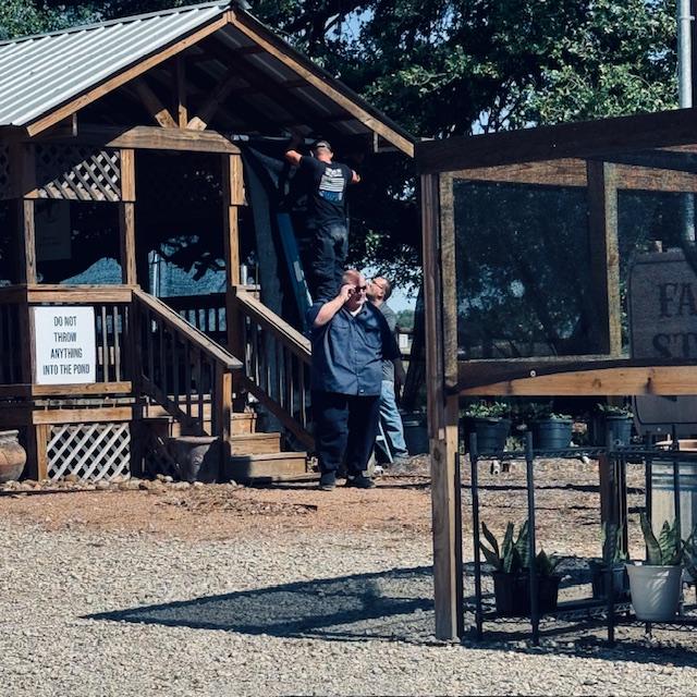 Putting shade cloth up on the gazebo. You can see the massive oak tree behind it.