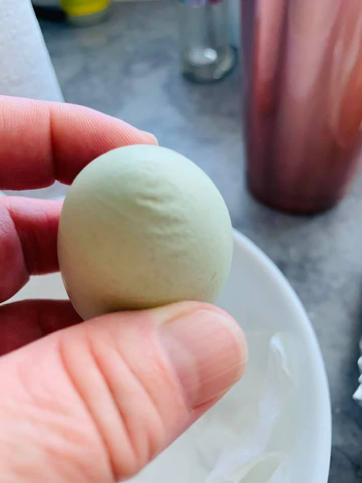 A wrinkled egg is said to be a chicken's first egg so someone just laid their first blue egg.