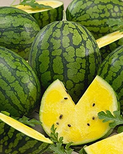 yellowwatermelon
