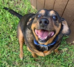 A younger Annabelle who was full of energy.