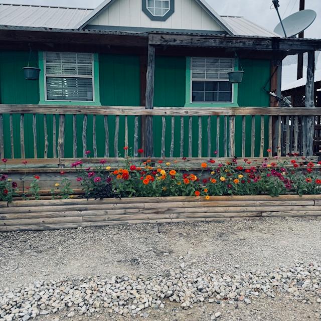 I think the zinnias look great against the green store.