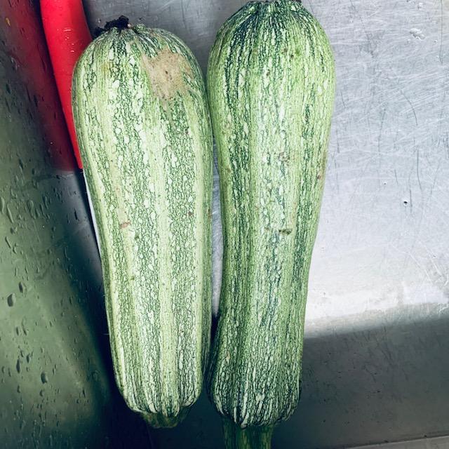 zucchinis